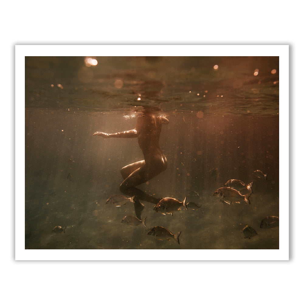 A person swims underwater, surrounded by fish and bathed in soft, warm light in the stunning image "Still Waters #2" by Francesca Owen. This piece captures a serene, ethereal atmosphere with light beams penetrating the water and highlighting underwater life. Printed on fine art paper with archival pigments, each artwork includes a certificate of authenticity.