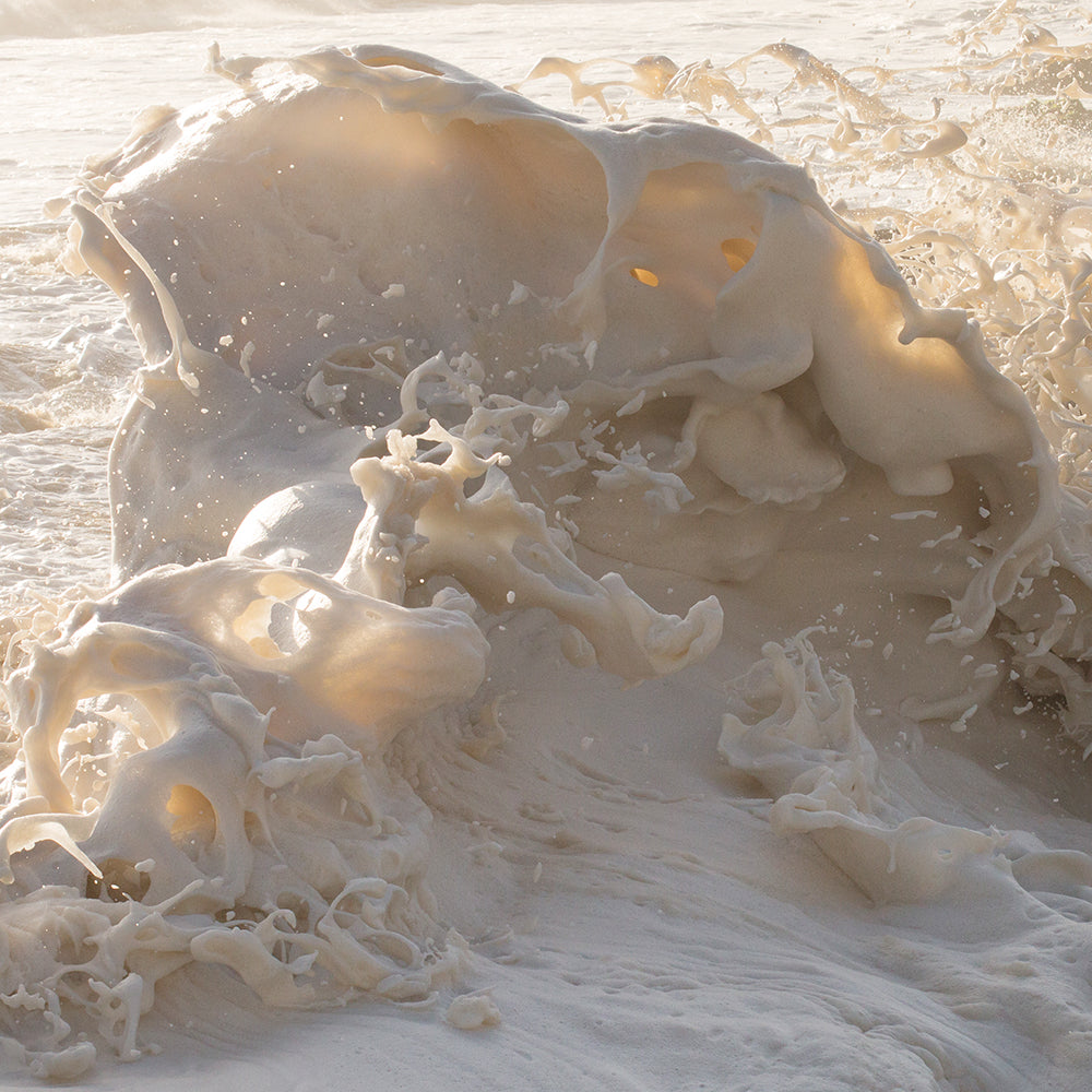 A powerful, frothy ocean wave crashes with immense force, creating intricate patterns and textures in the white foam. Sunlight pierces through the foam, casting highlights and shadows that showcase the dynamic movement and energy of the sea in this limited edition Francesca Owen print, Wild Seas Part I, V I.