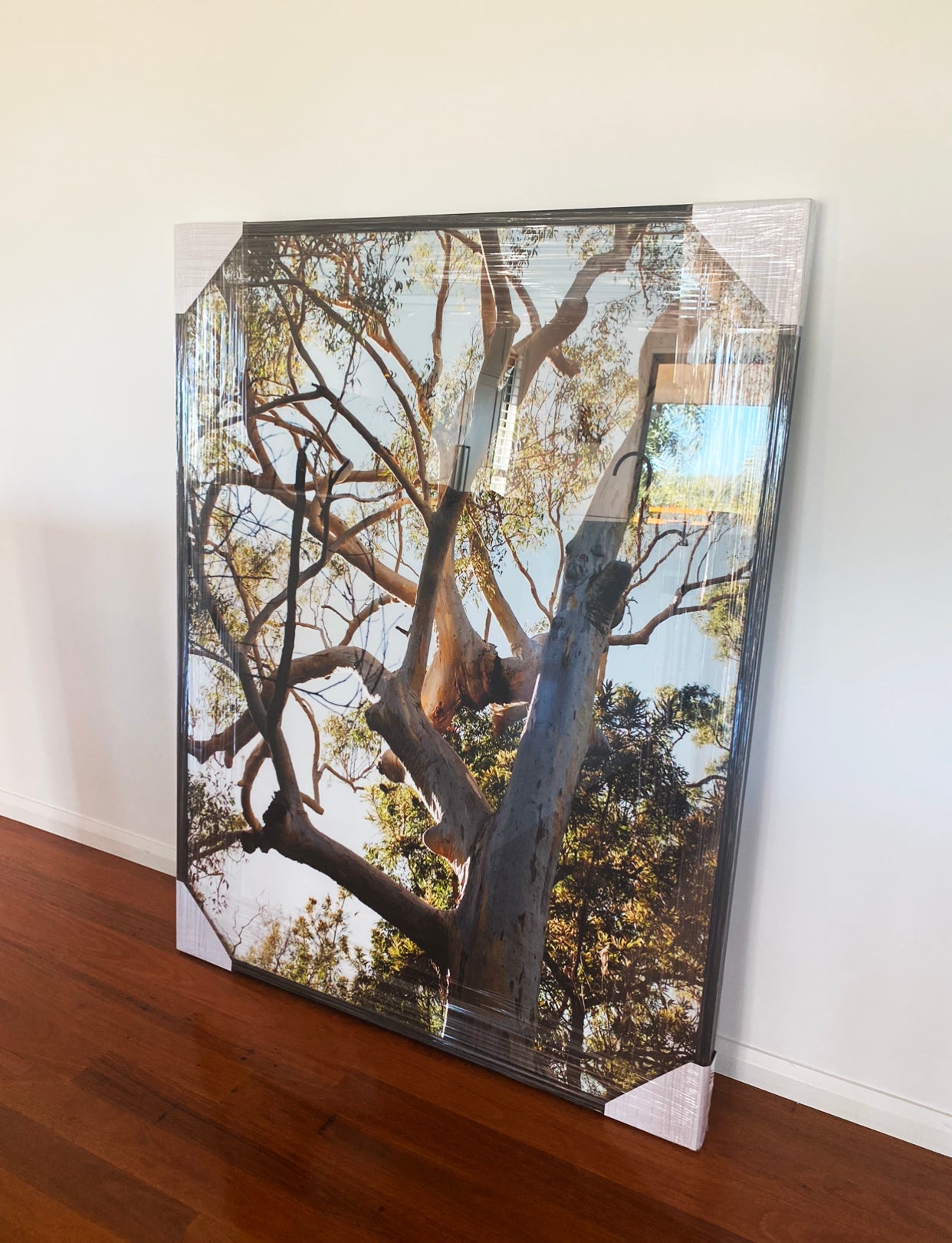 An impressive artwork titled "Australia #1" by Francesca Owen, featuring a large framed photograph of a tree with multiple branches and green leaves, printed on fine art paper. The piece is securely wrapped in protective plastic and cardboard corner protectors, leaning against a white wall on a wooden floor.