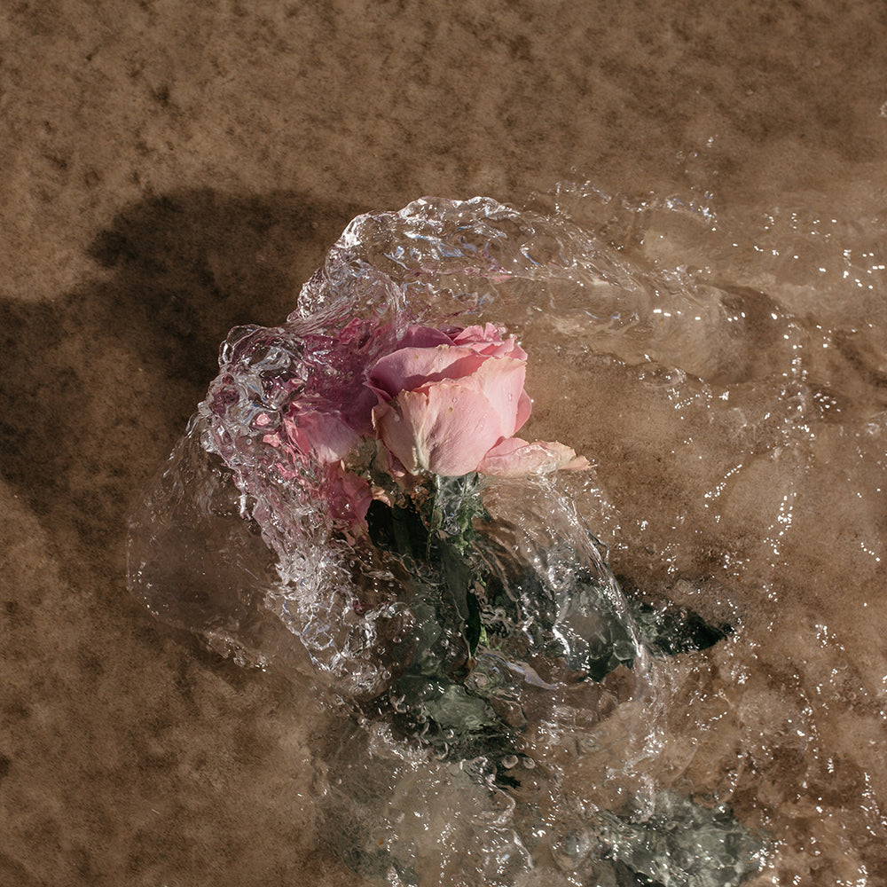 A pink rose rests on damp sand, partially covered by a gentle wave that casts a glittering sheen over its petals. This enchanting scene, titled "Water Rose" by Francesca Owen, is ideal for fine art prints and custom framing, beautifully portraying the delicate interaction between the flower and the natural movement of water.