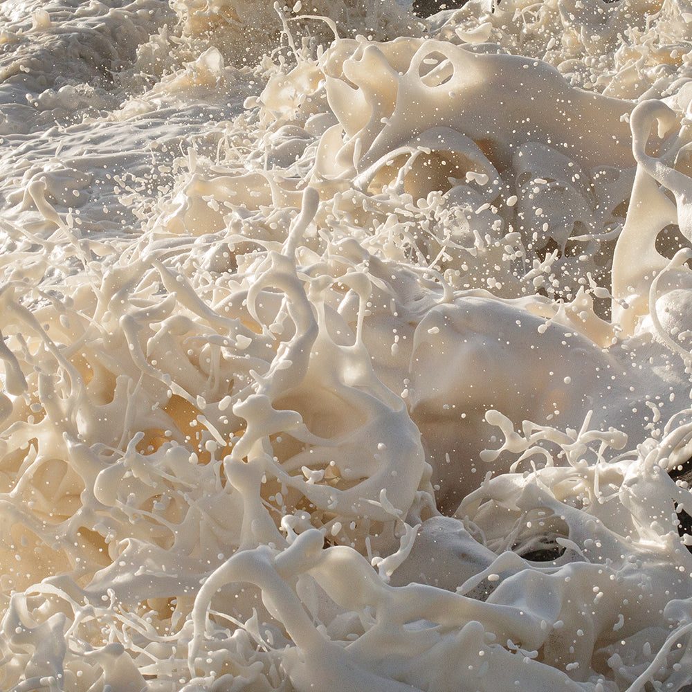A close-up image of frothy ocean waves capturing the intricate patterns and textures created by sea foam. The white foam appears to be in constant motion, with several splashes and bubbles visible, giving a dynamic and lively feel to the scene. Available as "Wild Seas Part I, V 2," a limited edition fine art print by Francesca Owen.