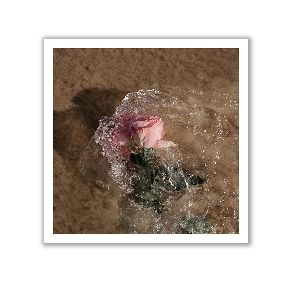 The "Water Rose" by Francesca Owen features a pink rose partially submerged in clear water on a sandy surface. Ripples and small bubbles form around the flower, creating a textured and dynamic scene. Printed on fine art paper with archival pigments, this piece is hand-signed for authenticity.