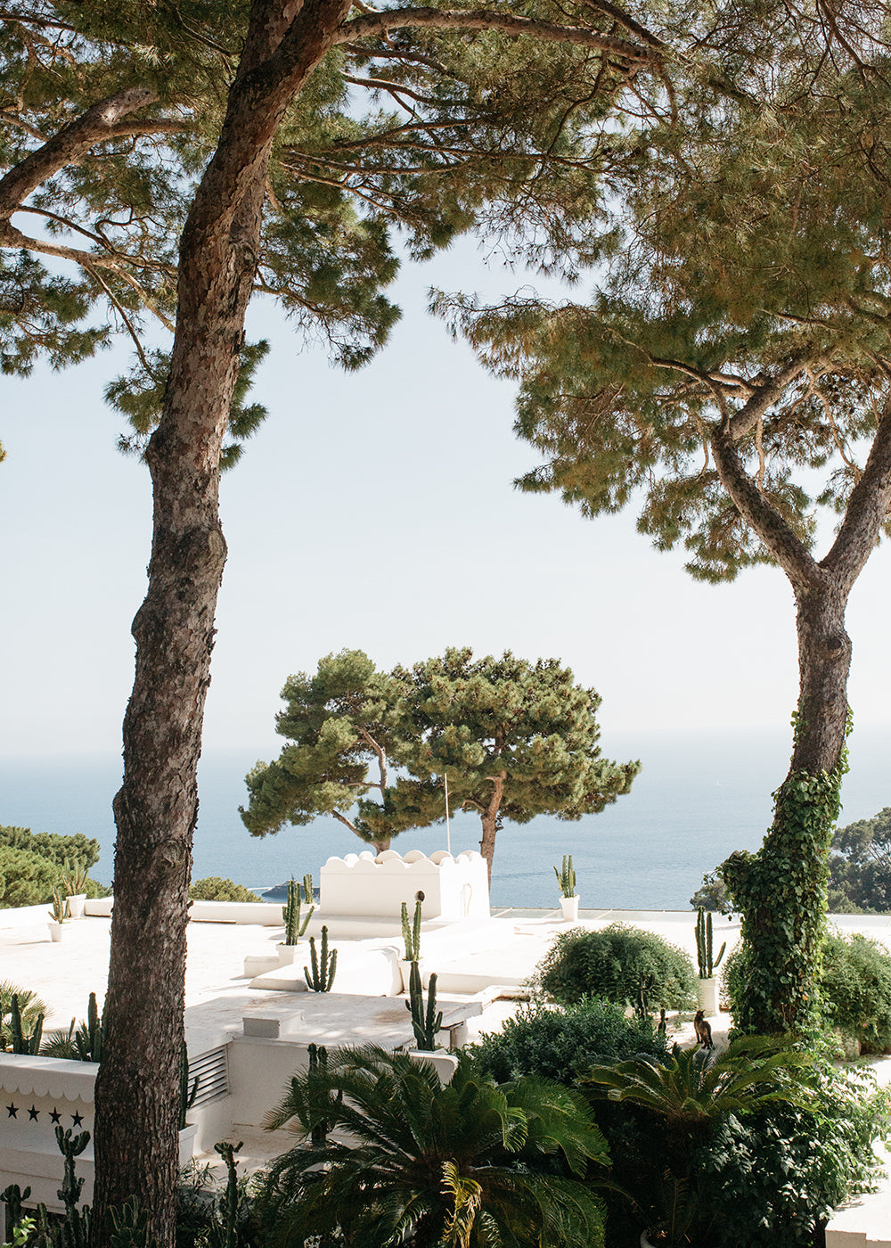 A scenic view featuring tall pine trees framing a white Mediterranean-style building with a backdrop of the blue ocean and distant shoreline. Printed on fine art paper using archival pigments, the "Capri Cacti" by Francesca Owen captures cacti and lush greenery that add to the serene and picturesque atmosphere.