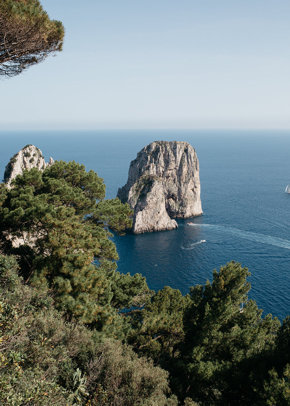 Sailing Capri #1